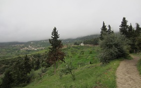 Manuscrits des Savants de la Famille Al Misbah